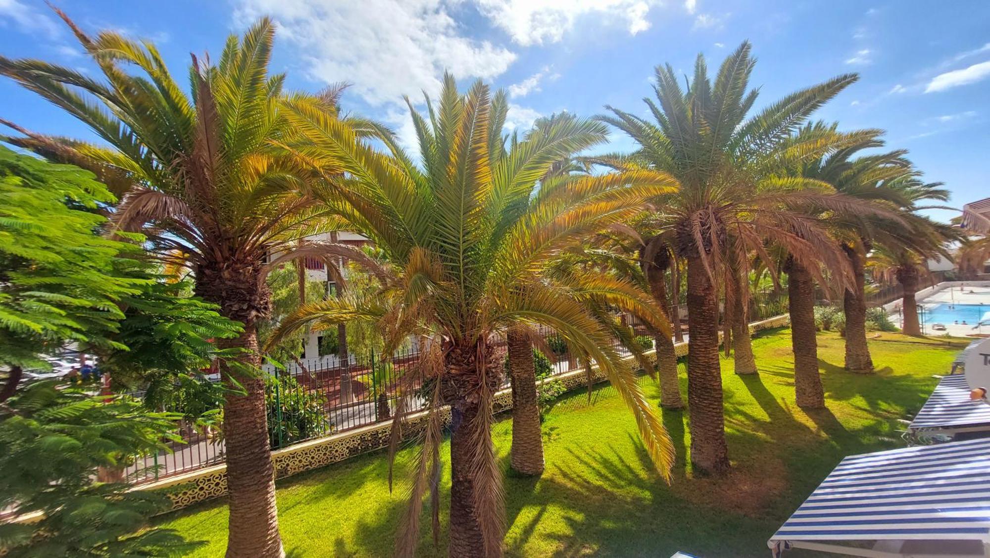 Apartamento Margarita Con Piscina En Playa Honda, Playa Las Americas Arona  Extérieur photo
